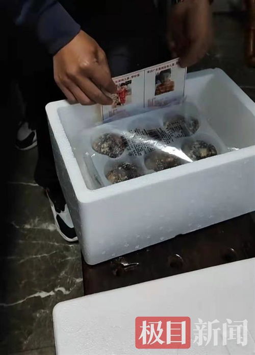孫海洋跨界餐飲 以包子為媒，將尋親信息送入千家萬戶